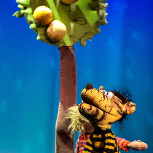 Tygrysek stoi pod drzewem, na którym rosną jabłka. Patrzy w górę w stronę owoców.