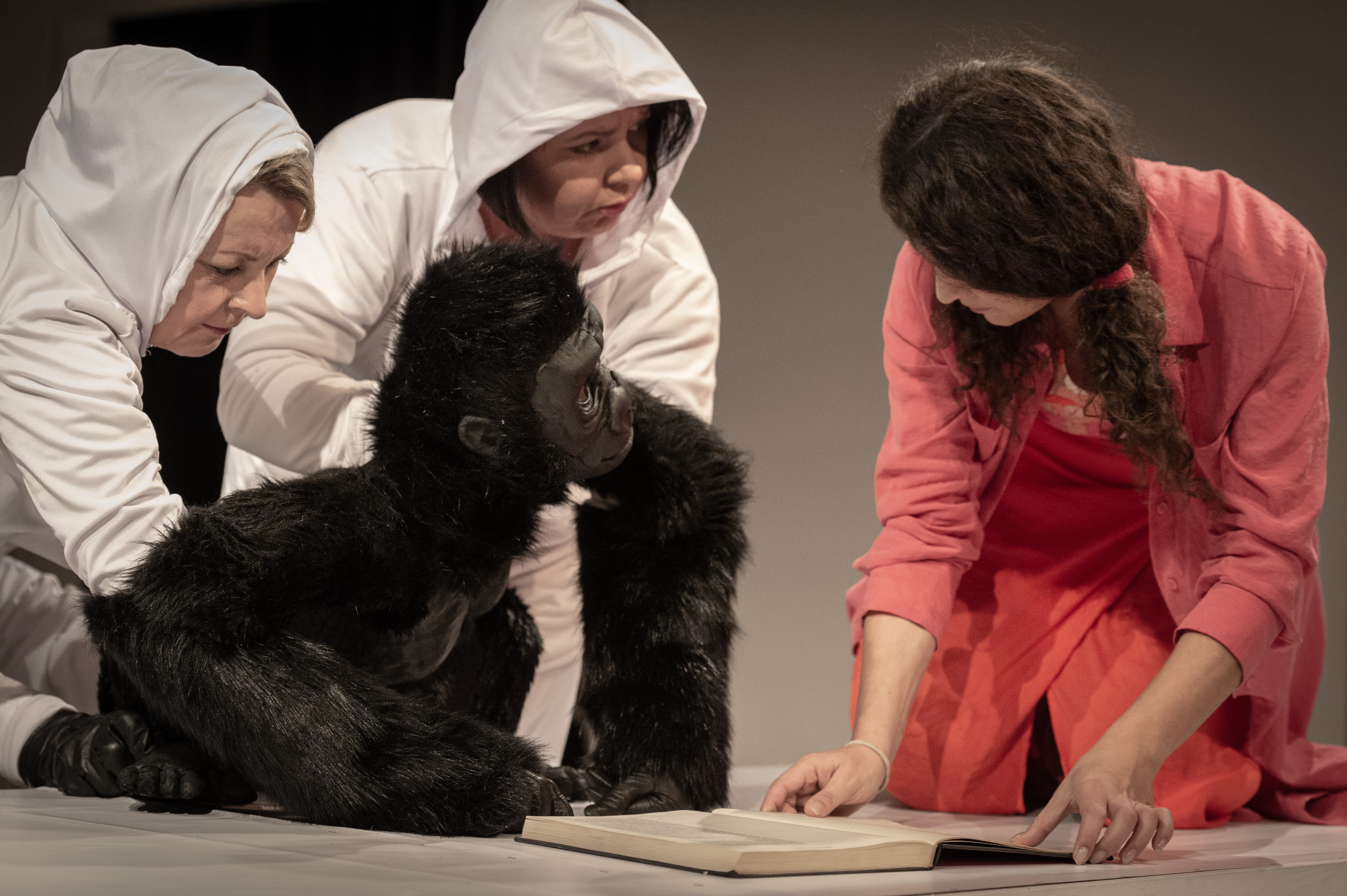 Lalka goryla animowana przez dwie aktorki. Obok aktorka pokazuje gorylowi otwartą książkę.