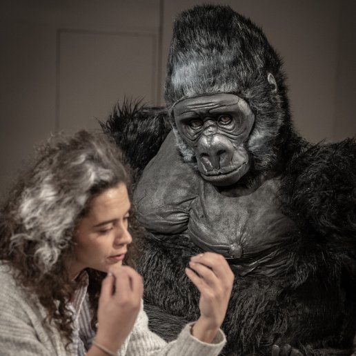 Aktorka rozmawia z gorylem za pomocą języka migowego. Lalka goryla przygląda się aktorce z zaciekawieniem.