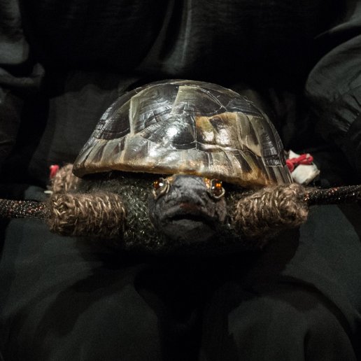 Lalka żółwia na kolanach aktorki. Aktorka rozciąga jego długie nogi. Żółw ma świecącą skorupę i oczy z koralików.